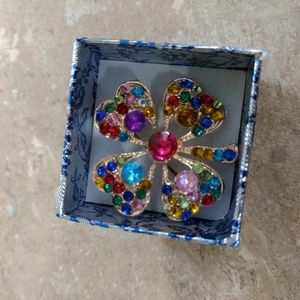 Rainbow Style Brooch